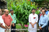 Sahyadri Samrakshana Sanchaya launches Vriksha Bandhana